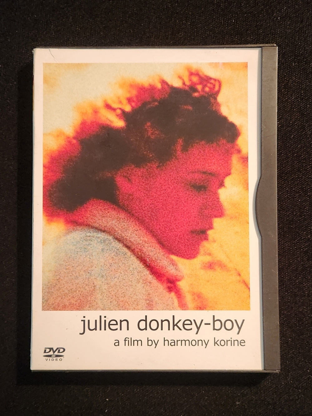 Julien Donkey-Boy DVD by Harmony Korine - RARE, OOP